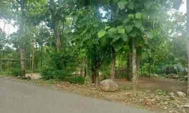 Tanah Strategis Masaran Sragen - Cocok untuk Usaha, Gudang, dll