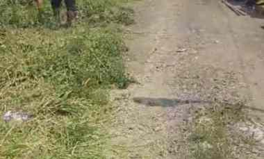 Dijual Tanah Medayu Utara Murahh SHM