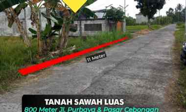 Jual Murah Tanah Sawah di Timur Pasar Cebongan 800 meter jl. Purbaya