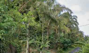 Tanah Dijual di Mundeh, Tabanan, Bali