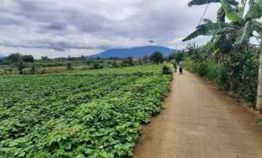 Dijual Tanah Murah di Ciherang Dramaga Kota Bogor