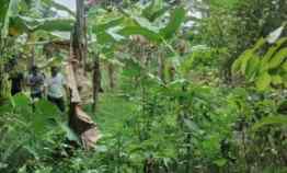 Dijual Tanah Murah di Cinangka Sawangan Depok