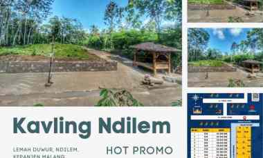 Tanah Dijual di Dusun Lemah duwur Ndilem Kepanjen Malang