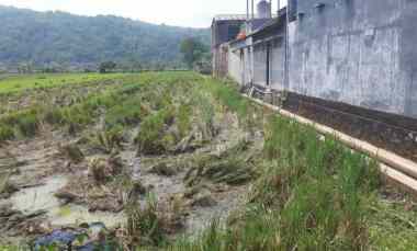 dijual tanah murah ditengah kota pacitan