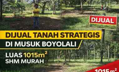 dijual tanah musuk boyolali