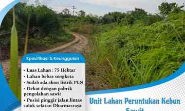 Jual Lahan Cocok Peruntukan Kebun Sawit di Solok Selatan