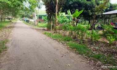 Tanah Dijual di Negeri Katon, Pesawaran