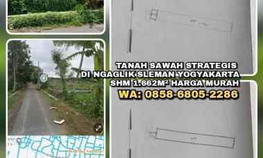 Tanah Sawah Strategis di Ngaglik Sleman Yogyakarta. Shm 1.662m Murah
