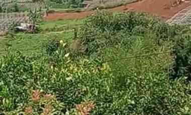 Jual Cepat Tanah di Ngamprah Cocok Perumahan Kawasan Wisata