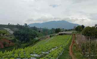 Tanah Dijual di Ngamprah Bandung Barat