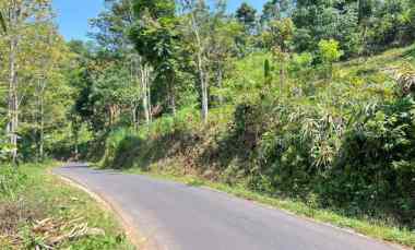 Tanah Murah 1215m hanya 275 juta Kawasan Wisata Ngargoyoso