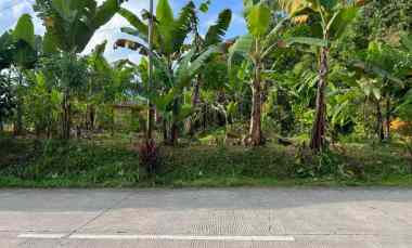 Tanah Strategis 350 juta Tepi jl Raya Kemuning-Karangpandan