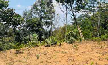 Tanah Dijual di Ngargoyoso, Karanganyar