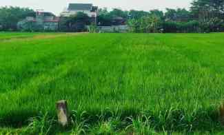 Sangat Murah Harga B.U Dijual Tanah di Nol Jalan Raya by Pass Nganjuk