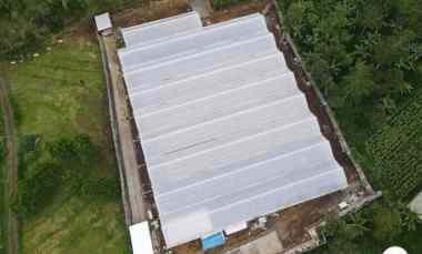 Dijual Perkebunan Holtikultura di Tutur Nongkojajar Pasuruan