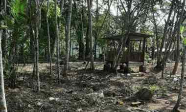 Tanah Pekarangan di dekat Calon Jalan Tol Yogya-bawen