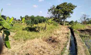 Dijual Tanah untuk Villa di Nyambu Kaba-Kaba Kediri Tabanan Bali