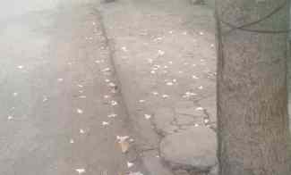 Komersial Dijual di Jambangan