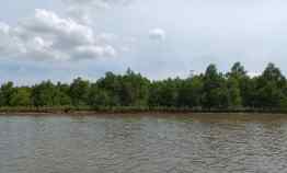 Tanah dekat Pantai/Pinggir Laut Luas 53 Hektar di Pesawaran