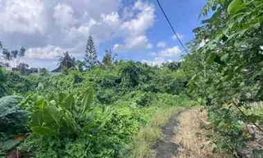 Dijual 10,08 are, jl. Padang Tawang I Babakan Canggu Kuta Utara
