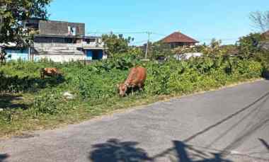 dijual tanah padangsambian kaja