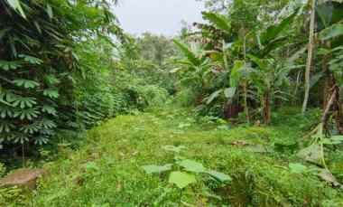 dijual tanah pageraji kec cilongok