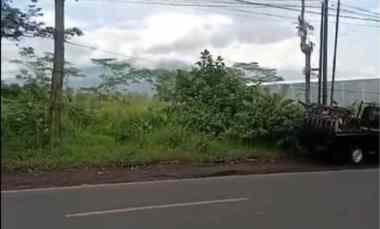 Tanah Poros Jalan Cocok Dikembangkan Sebagai Usaha di Kab Malang