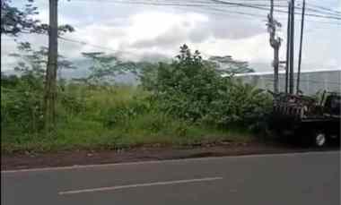 Tanah Poros Jalan Raya Murah Strategis di Area Bisnis Pakisaji Malang