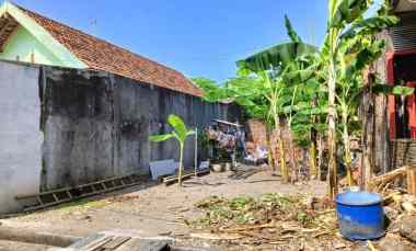 Tanah Kauman Palebon Pedurungan 5o M dari Jalan Majapahit