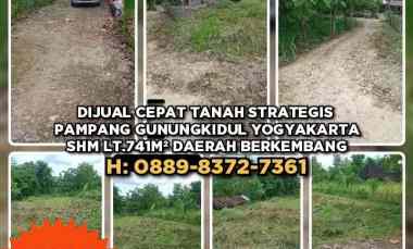 Tanah Murah Strategis di Pampang Gunungkidul Yogyakarta. Shm Lt741
