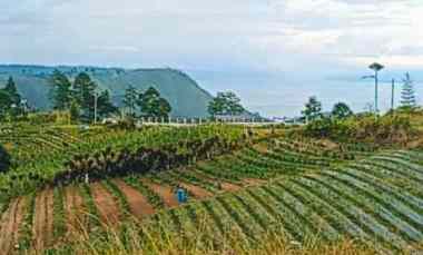 Dijual Tanah View Danau Toba dekat Air Terjun Sipisopiso 08i37747 Ol00