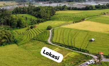 Dijual 22,1 are, Full View Sawah, Pantai Beraban Selemadeg Tim Tabanan