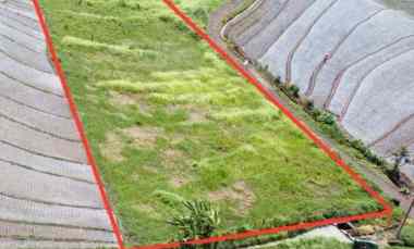 Dijual 22,1 are, Full View Sawah, Pantai Beraban Selemadeg Tim Tabanan