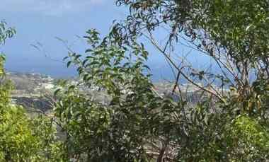 Dijual 92,5 are, FULL VIEW, jl. Pantai Balangan Jimbaran Atas Kuta Sel