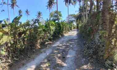 dijual tanah pantai balian selemadeg
