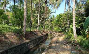dijual tanah pantai balian selemadeg