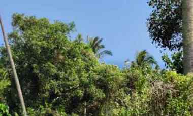 dijual tanah pantai balian selemadeg