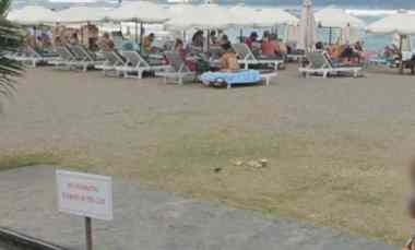 Dijual 76,75 are, jl. Pura Dalem Batu Bolong Canggu Kuta Utara