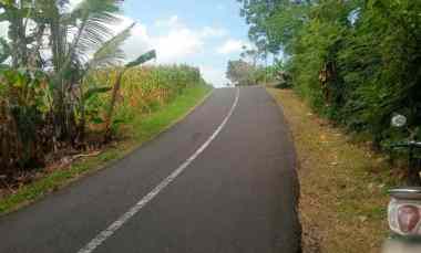 dijual tanah pantai beraban selemadeg