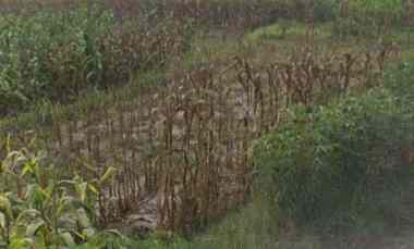 Dijual 14,7 are, Depan Bali Taxi Local Tibubiyu Pantai Pasut Tabanan