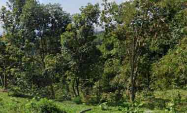 Tanah Dijual di Panyireupan