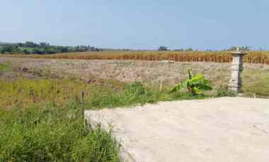 Dijual Lahan View Sawah Pegunungan dan Laut di Pasut Tabanan