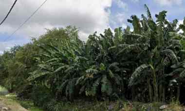 Dijual 47,25 are, jl. TPA Suwung Pesanggaran Pedungan Sesetan Denpasar