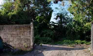 Dijual 2,9 are, jl. Pegending Padonan Dalung Tibubeneng Kuta Utara