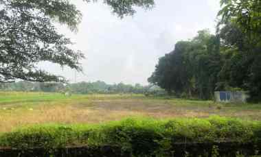 Tanah Dijual di Karangan karanganom