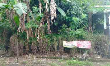 dijual tanah pekarangan kebun