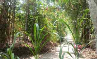 Dijual Tanah Pekarangan Luas Daerah Dompol Kemalang