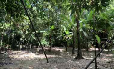 Dijual Tanah Pekarangan Strategis