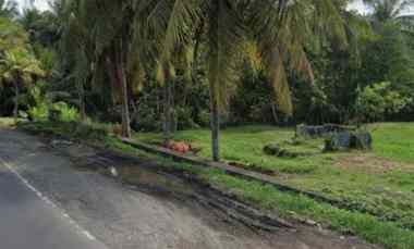 Tanah Dijual di Pekutatan Antosari Selabih