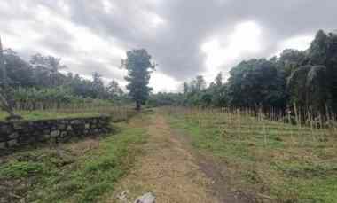 Tanah Murah dekat Pantai Pekutatan Bali dan Kelapa Retreat Spa